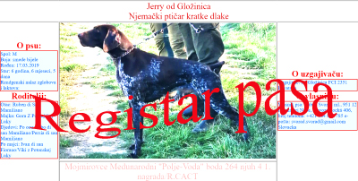 Registar pasa